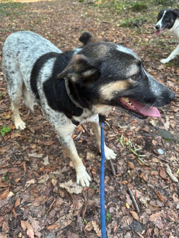 Divy_una splendida meticcia Foto 5